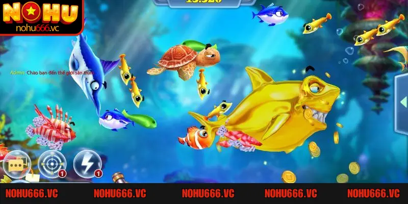 Mẹo săn cá hàng đầu đến từ cao thủ