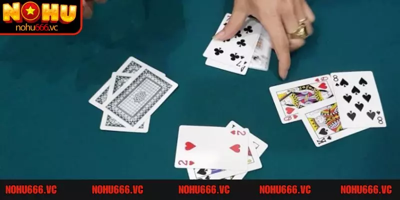 Thuật ngữ trong bài cào rùa dành cho người mới